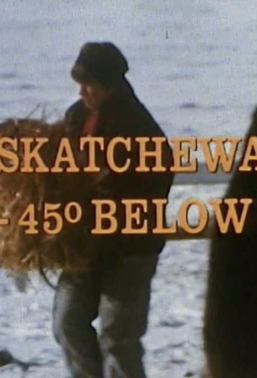 Movie poster for Saskatchewan: 45 Below