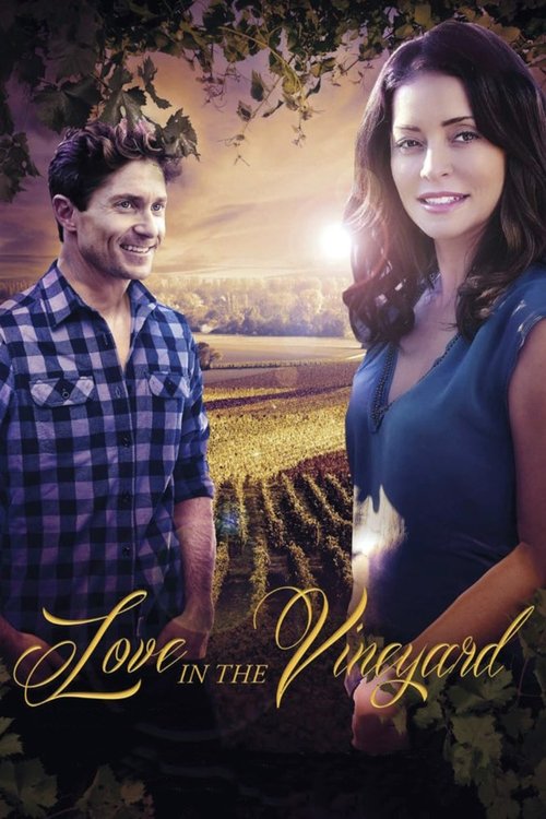 Movie poster for Love in the Vineyard (2016)
