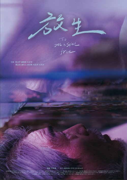 Movie poster for To Set a Spirit Free (2025)