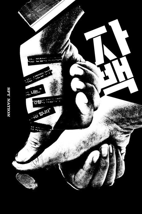Movie poster for Spy Nation (2016)