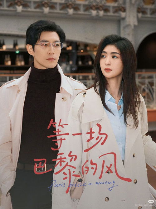 等一场巴黎的风 poster
