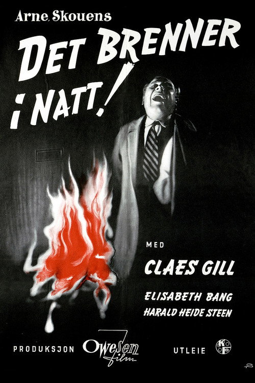 Movie poster for Fire in the Night (1955)