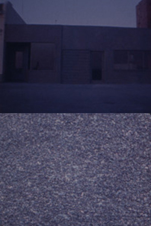 Movie poster for Michael Brod's Whoever — In Transit (1974)