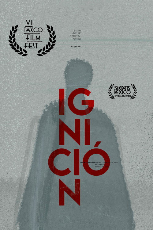 Movie poster for Ignition (2021)