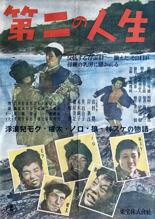Movie poster for A Second Life (1948)