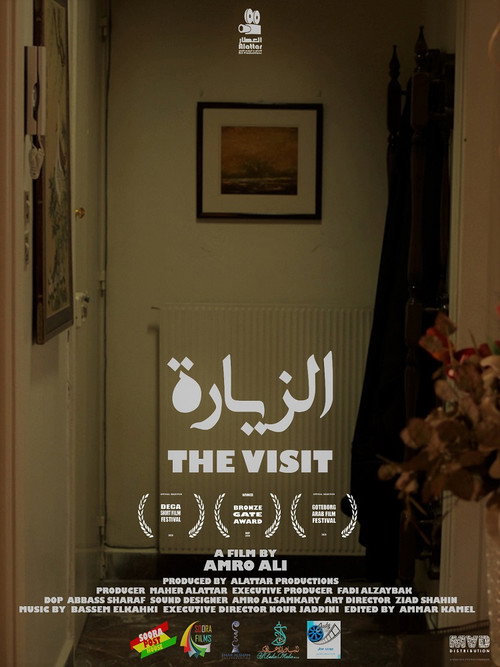 Movie poster for The Visit (2020)