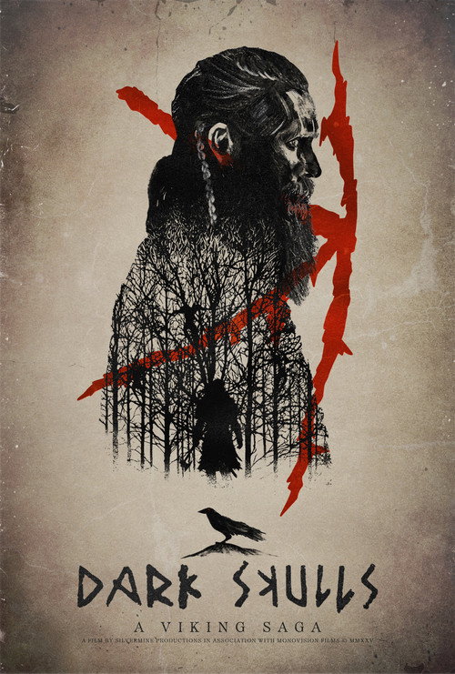 Movie poster for Dark Skulls