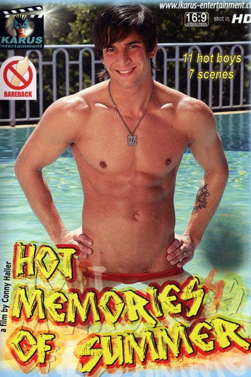 Movie poster for Hot Memories of Summer (2012)