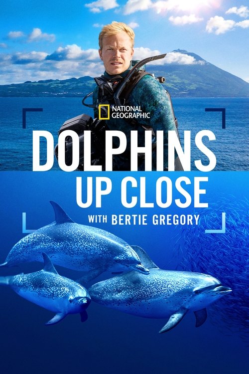 Movie poster for Dolphins Up Close with Bertie Gregory (2025)