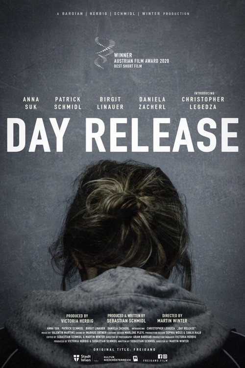 Movie poster for Day Release (2019)