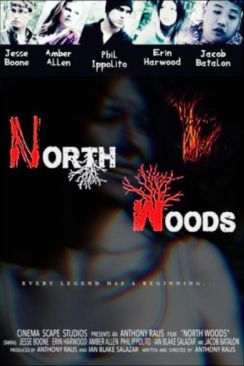 Movie poster for North Woods (2016)
