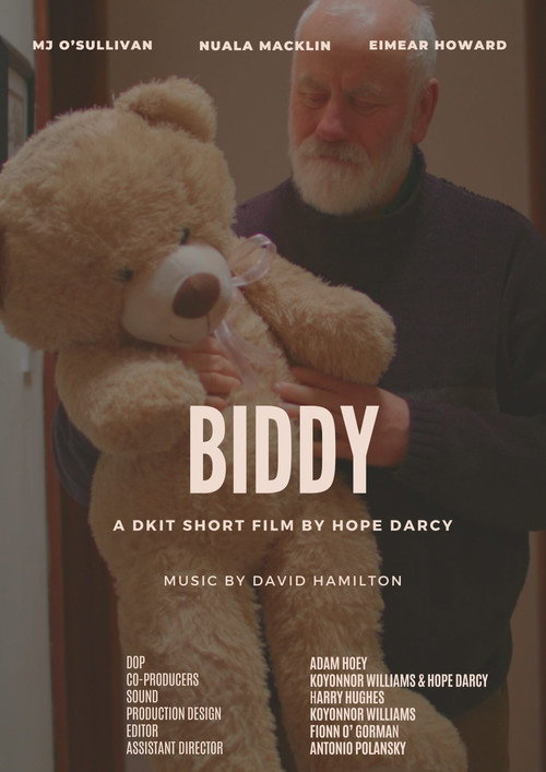 Movie poster for Biddy