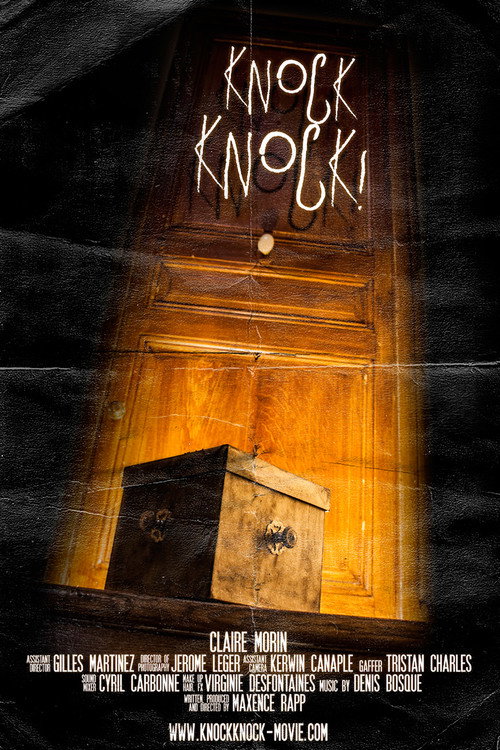 Movie poster for Knock Knock! (2015)