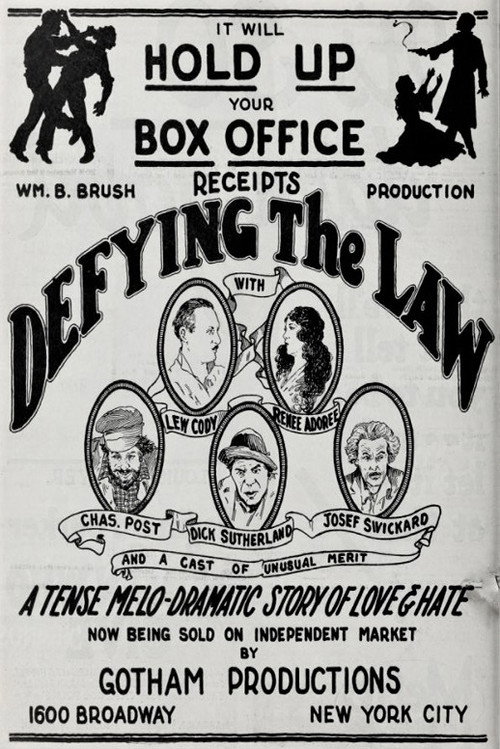 Movie poster for Defying the Law (1924)