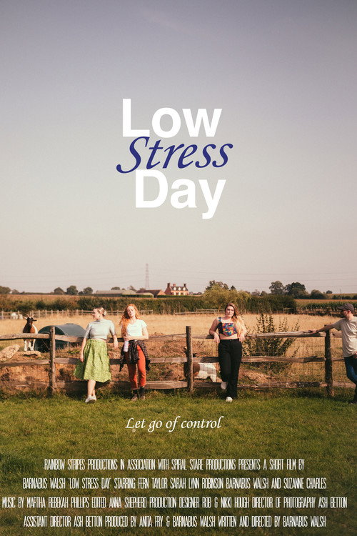 Movie poster for Low Stress Day (2024)