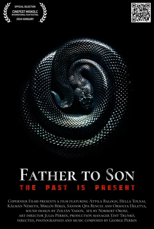 Movie poster for Father to Son (2024)