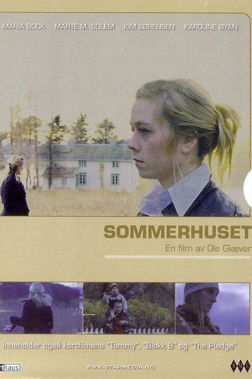 Movie poster for Summers Past (2008)
