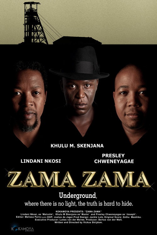 Movie poster for Zama Zama (2012)