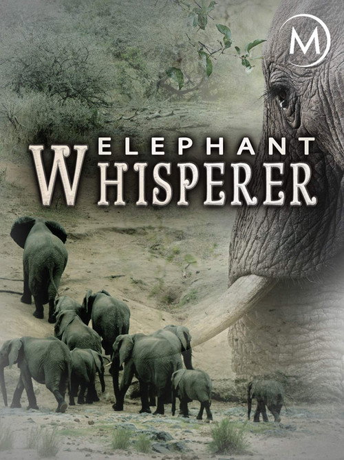 Movie poster for Elephant Whisperer (2012)