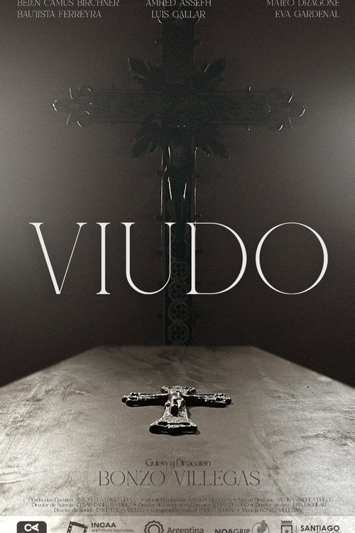 Movie poster for Viudo (2024)