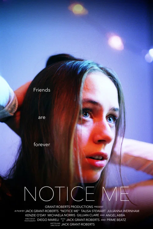 Movie poster for Notice Me