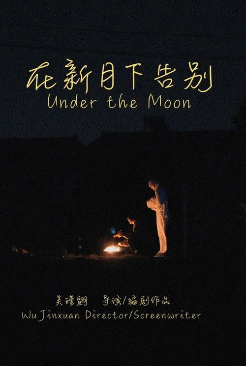 Under the Moon poster