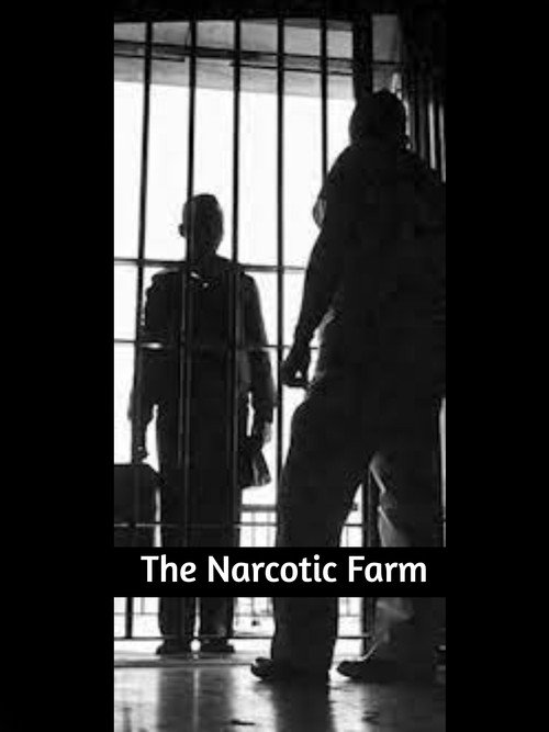 Movie poster for The Narcotic Farm (2008)