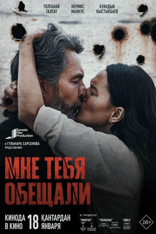 Movie poster for You Were Promised to Me (2024)
