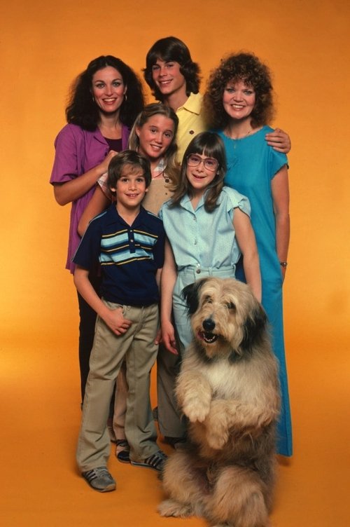 A New Kind of Family poster