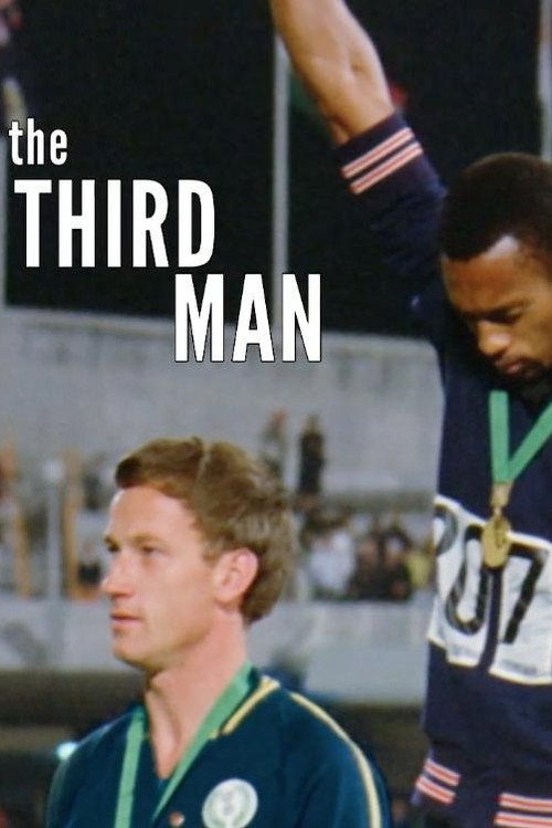 Movie poster for The Third Man (2016)