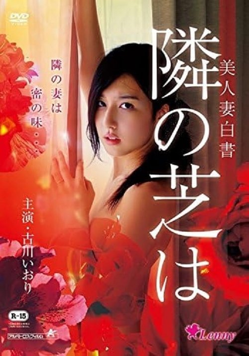 Movie poster for Meeting in Secret (2014)
