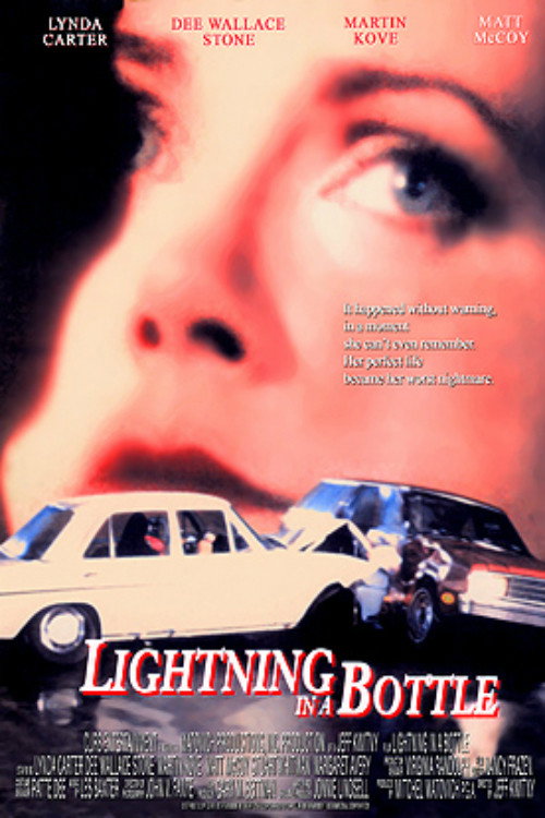 Movie poster for Lightning in a Bottle (1993)