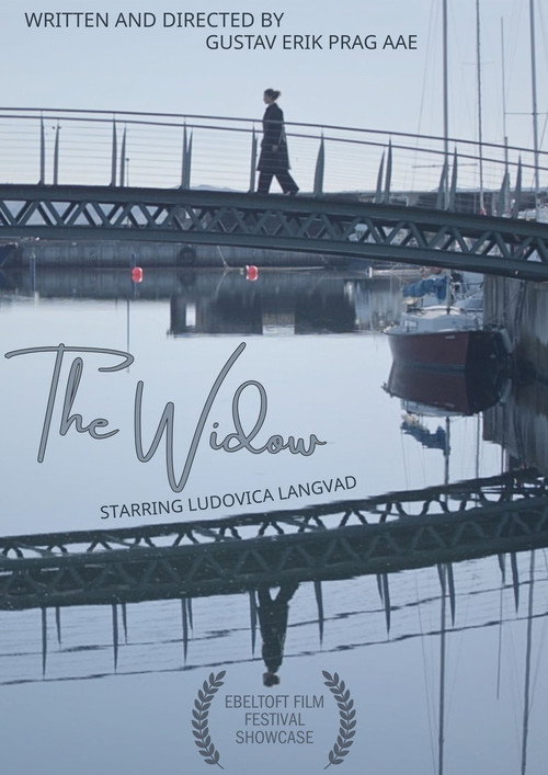 Movie poster for The Widow (2025)