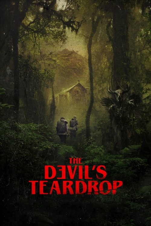 Movie poster for The Devil's Teardrop (2025)