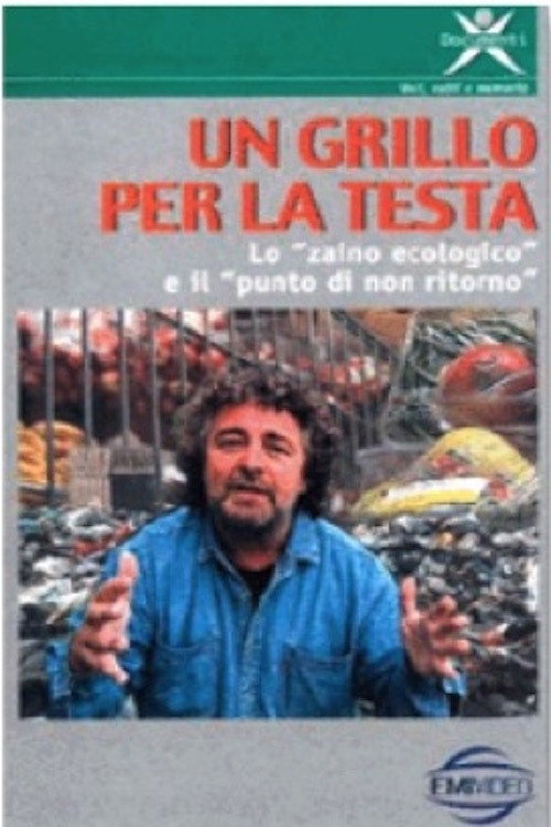 Movie poster for Un Grillo per la testa (1995)