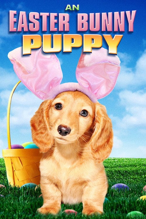 Movie poster for An Easter Bunny Puppy (2013)
