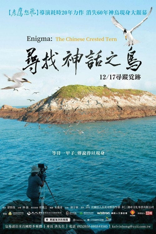 Movie poster for Enigma: The Chinese Crested Tern (2021)