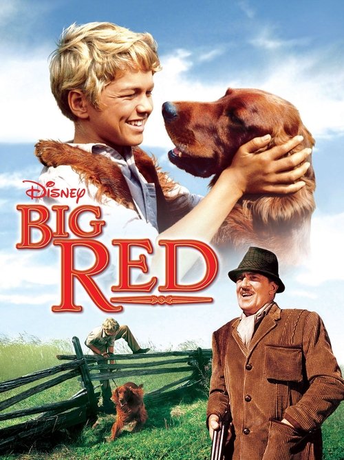 Movie poster for Big Red (1962)