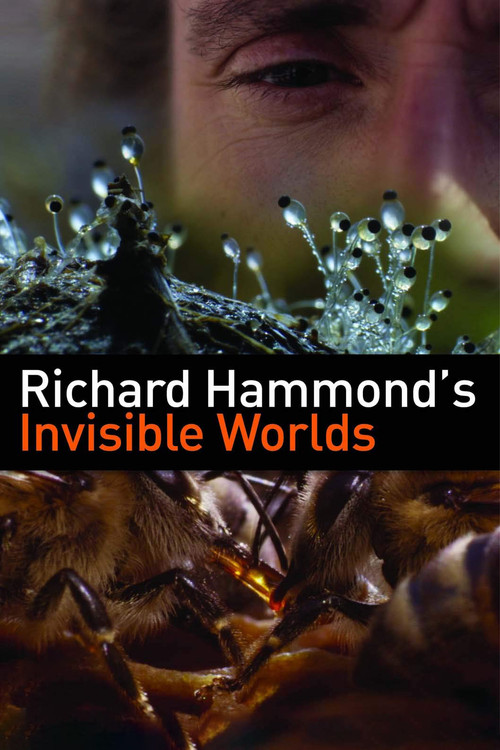 Richard Hammond's Invisible Worlds poster