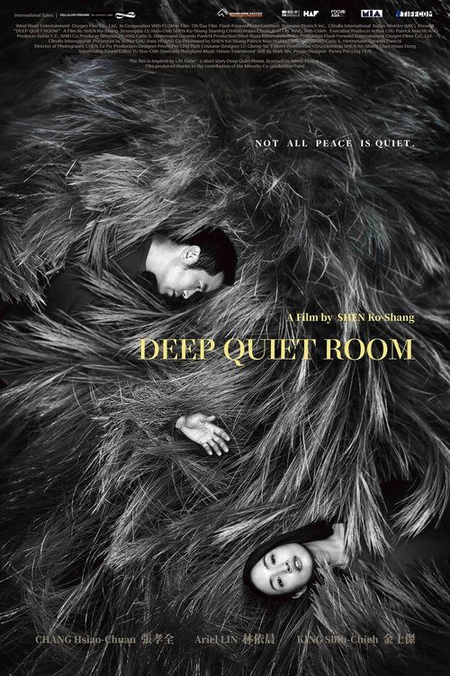 Movie poster for Deep Quiet Room (2026)