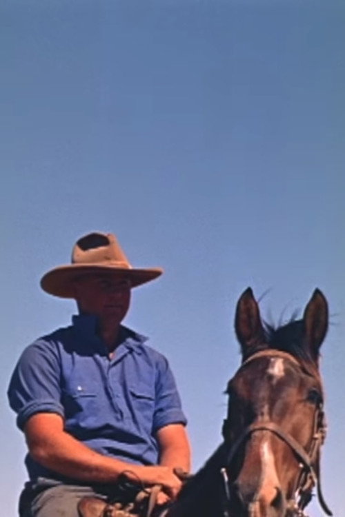 Movie poster for The Living North (1960)