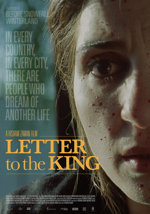 Movie poster for Letter to the King (2014)