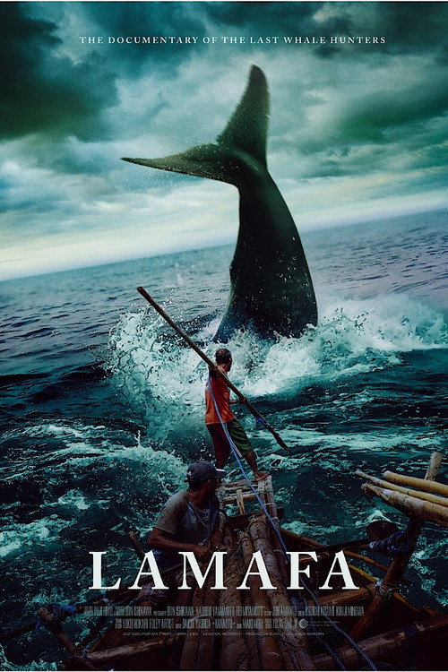 Movie poster for The last whale hunters (2021)