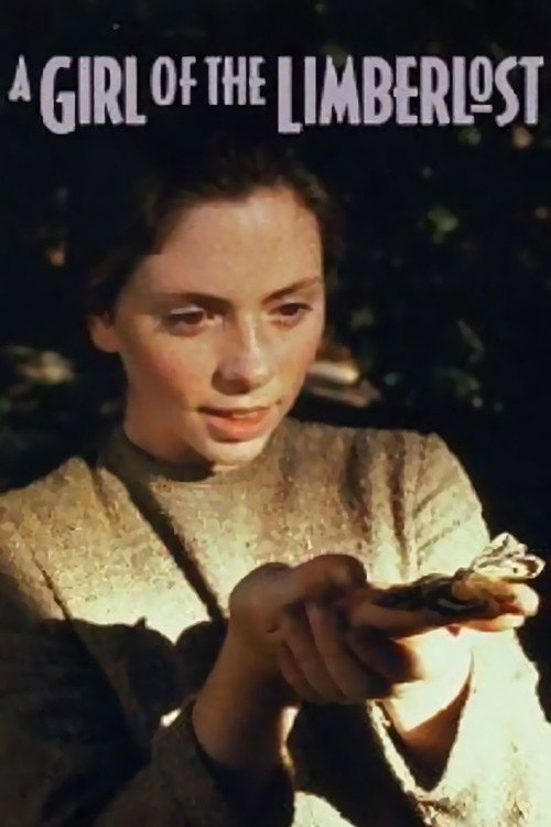 Movie poster for A Girl of the Limberlost (1990)