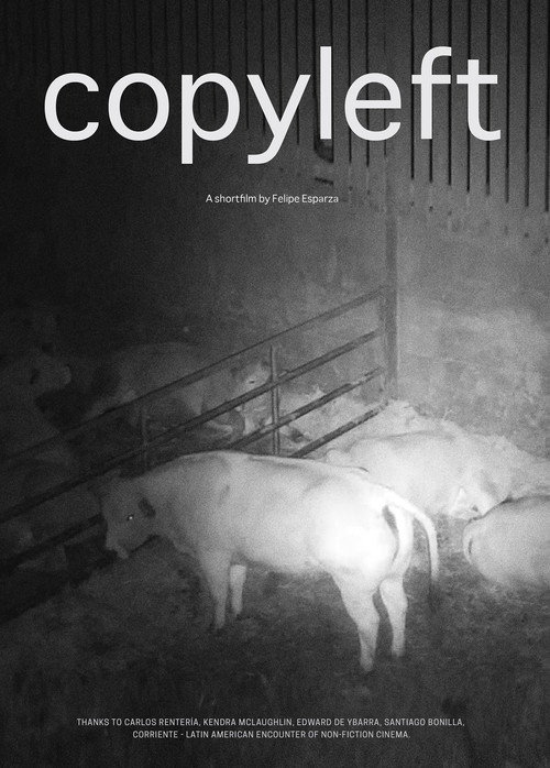 Movie poster for Copyleft (2021)