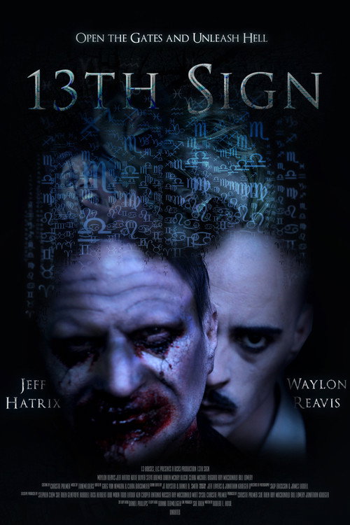Movie poster for 13th Sign (2011)