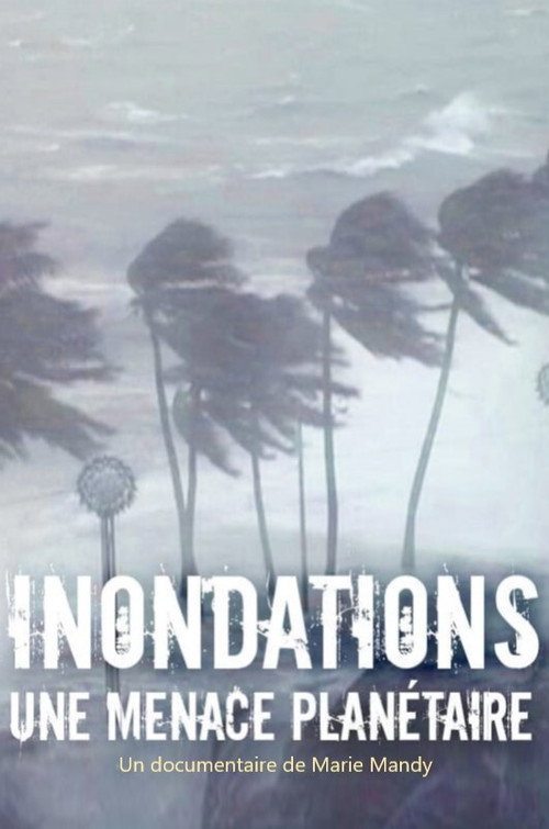 Movie poster for Inondations : une menace planétaire (2015)