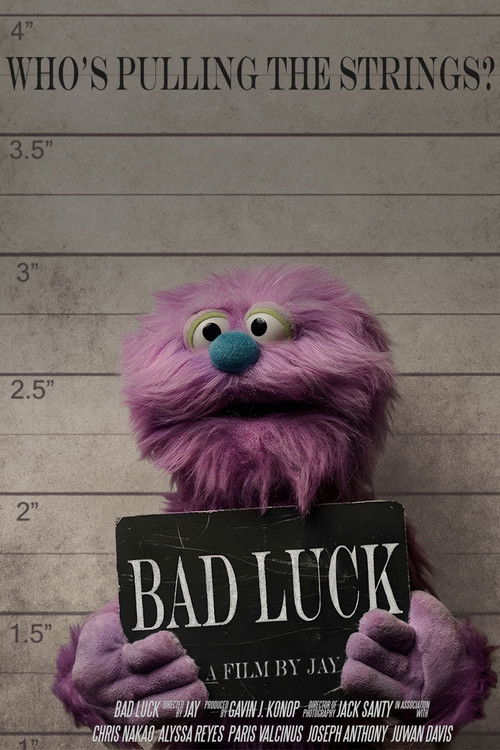 Movie poster for Bad Luck (2025)