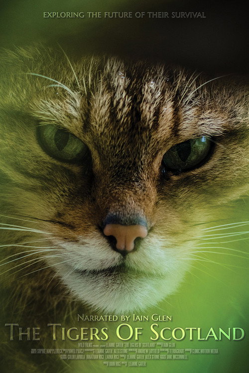 Movie poster for The Tigers of Scotland (2017)