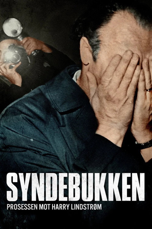 Movie poster for Syndebukken: Prosessen mot Harry Lindstrøm (2018)